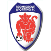 https://img.sdmzhij.com/img/football/team/7537ed874ffe46890fcf9fc9547e0ba5.png