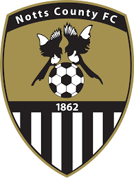 https://img.sdmzhij.com/img/football/team/9e230c89a846b9cadf91884918fa7611.png