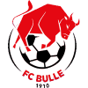 https://img.sdmzhij.com/img/football/team/b201265fa89720bf8cd8ef95549a4738.png