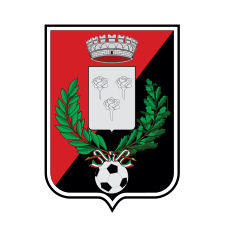 https://img.sdmzhij.com/img/football/team/b424d801c07774c55d069372cf77eba9.png